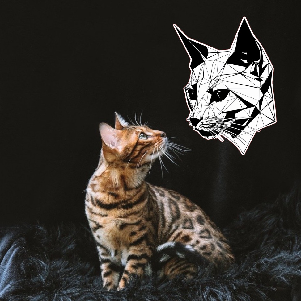 Dřevěná brož - Geometrická kočka