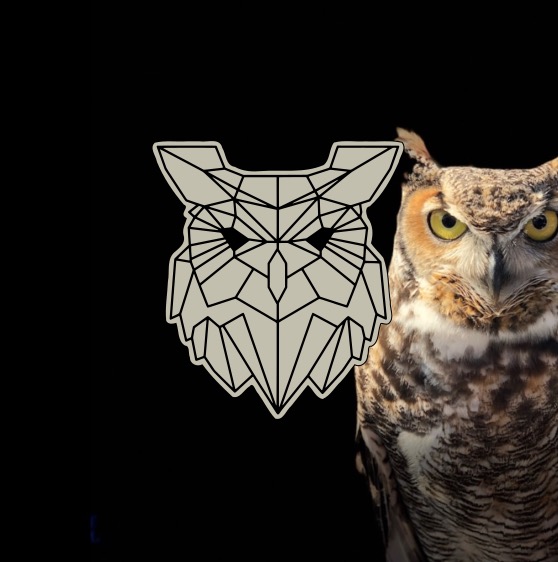 Dřevěná brož - Geometrická sova