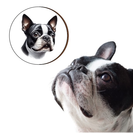 Dřevěná brož - Buldoček