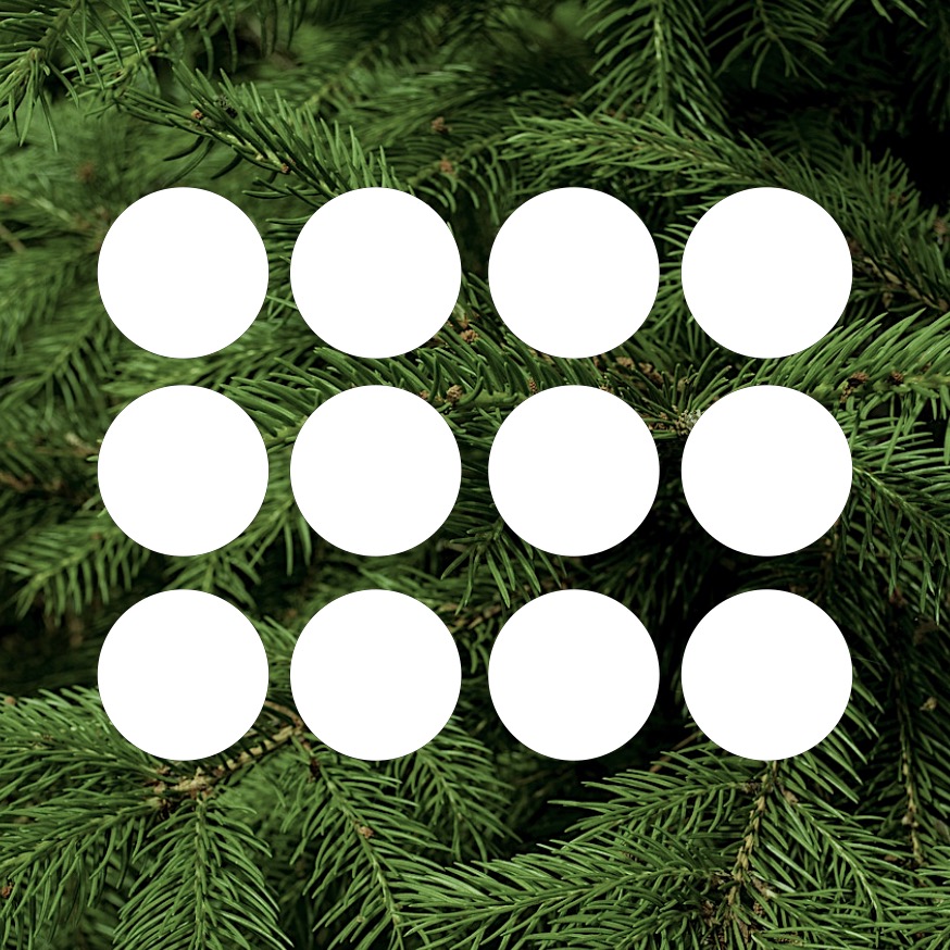 Dřevěné magnetky s papírovou vrstvou k dokreslení (12 ks)