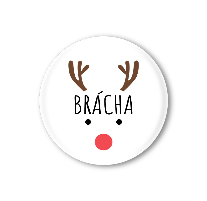 Vánoční připínací placka