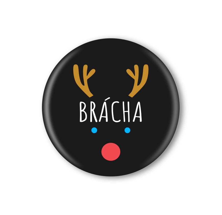Vánoční připínací placka
