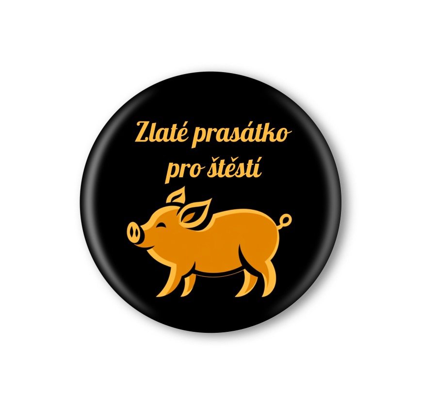 Vánoční připínací placka