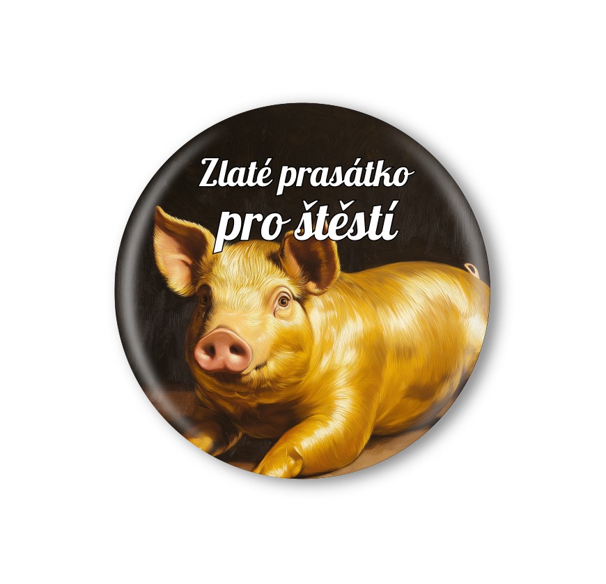 Vánoční připínací placka