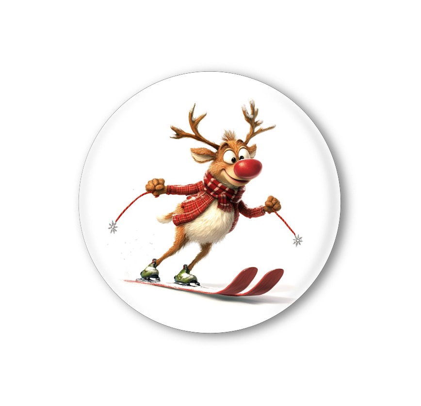 Vánoční připínací placka - sob