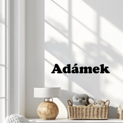 Vinylová samolepka - Jméno na přání