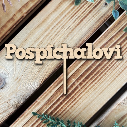 Zápich do dortu - Příjmení novomanželů