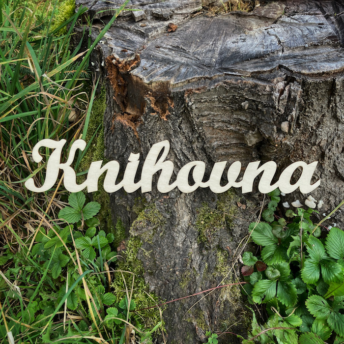Dřevěný nápis - Knihovna
