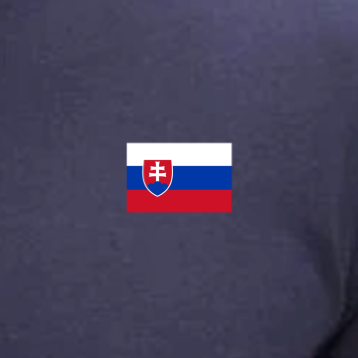 Dřevěná brož - Vlajka Slovenské republiky
