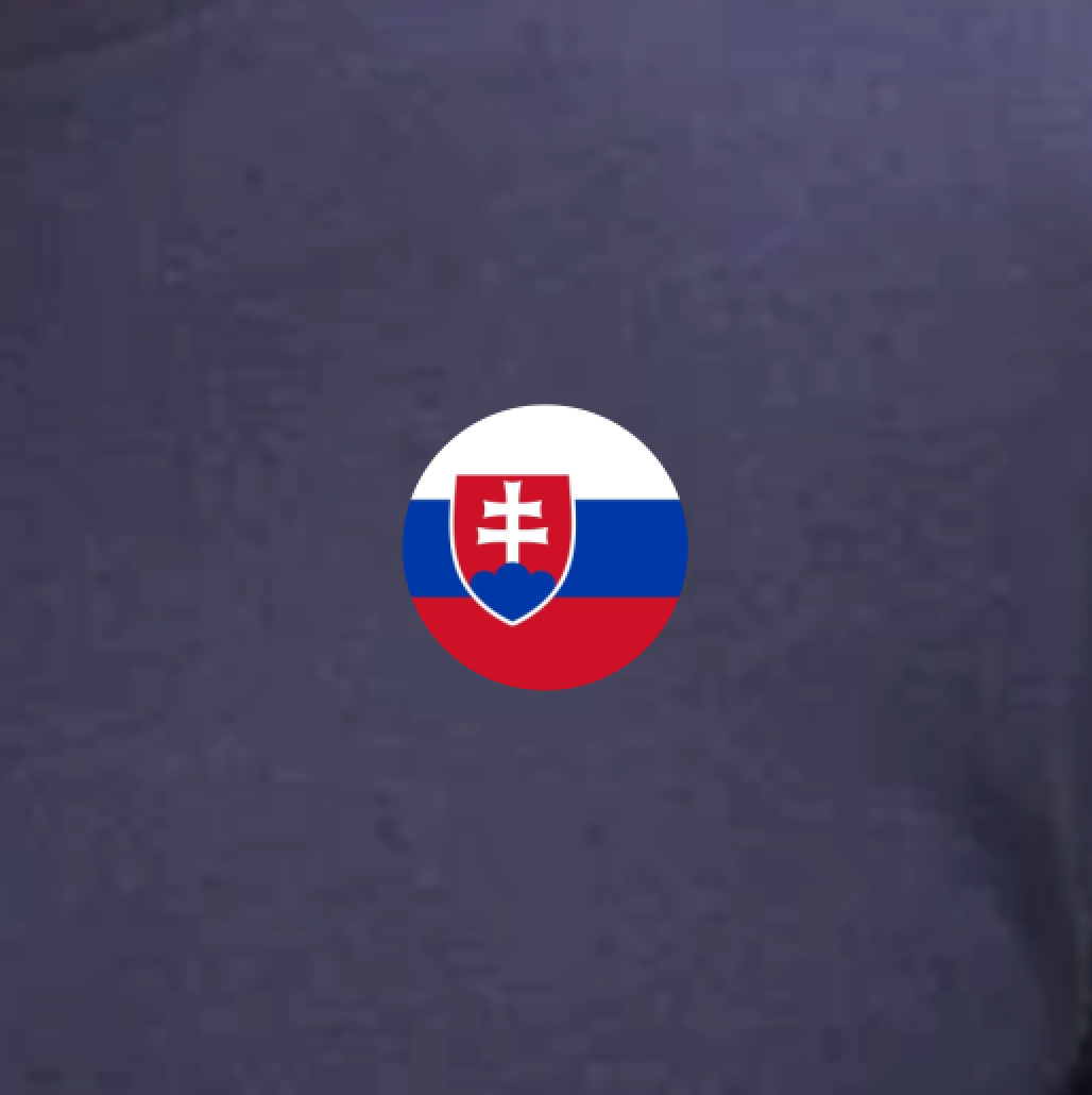 Dřevěná brož - Vlajka Slovenské republiky