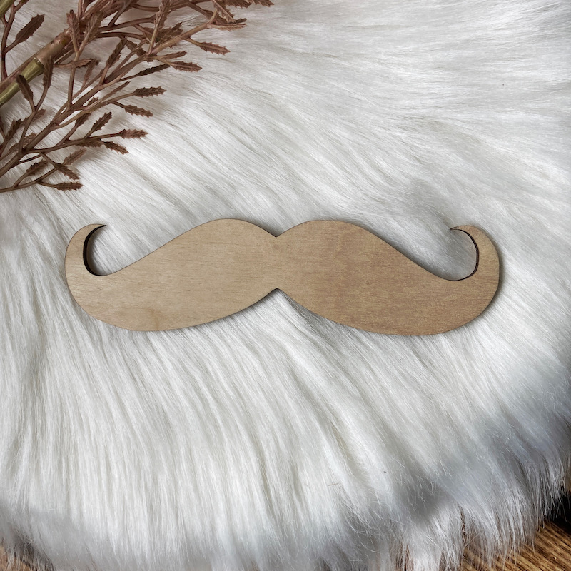 Rekvizity do fotokoutku - knír