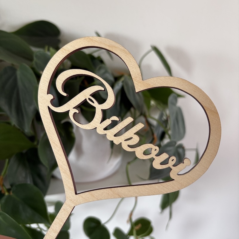 Zápich do dortu s příjmením