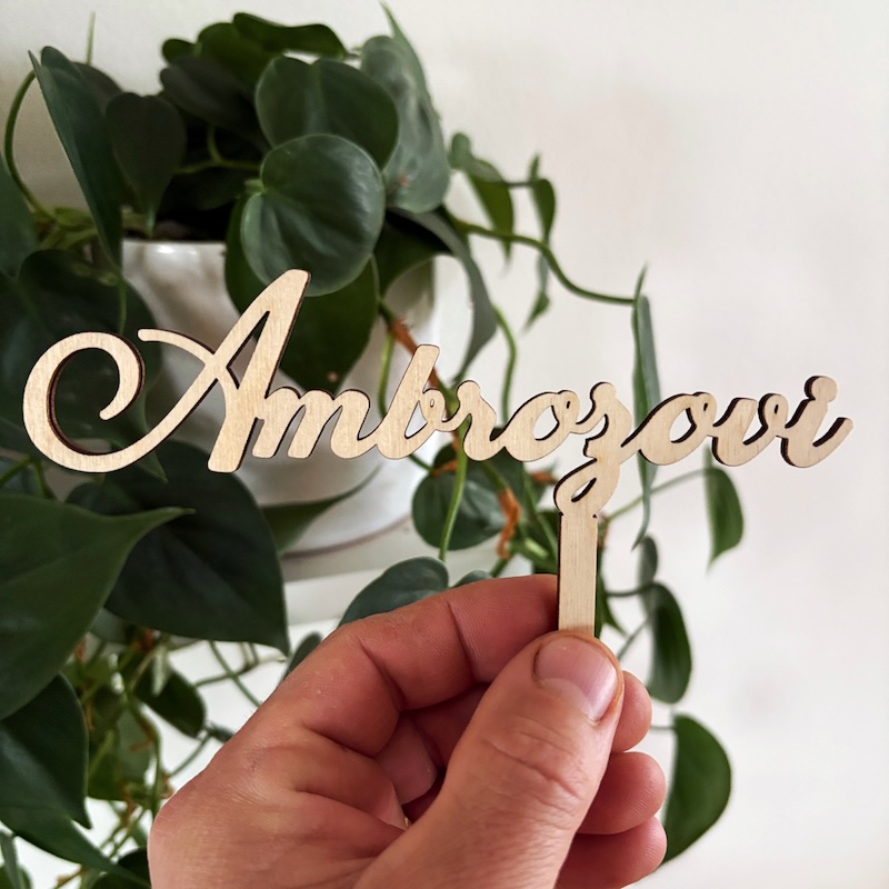 Zápich do dortu - Příjmení novomanželů