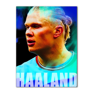 Motivační obraz - Erling Haaland