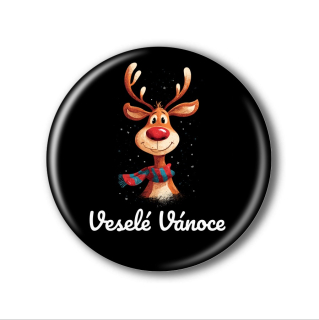 Vánoční placka nebo magnetka